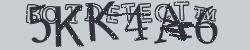 Retype the CAPTCHA code from the image
